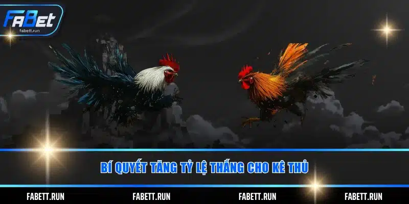 Bí quyết tăng tỷ lệ thắng cho kê thủ