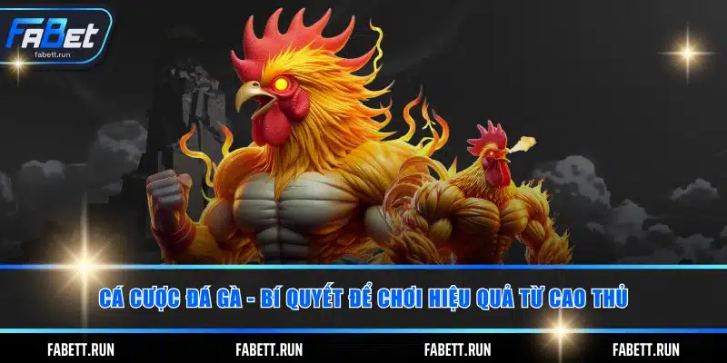 Cá cược đá gà gây ấn tượng với nhiều thể loại hấp dẫn
