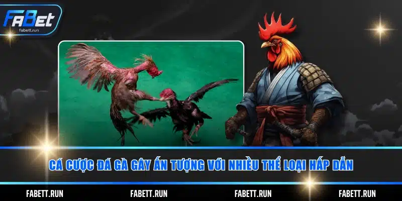 Cá cược đá gà