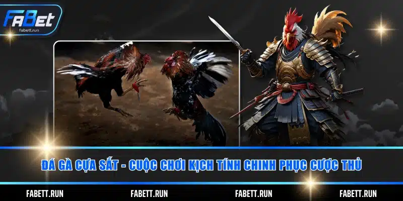 Đá gà cựa sắt