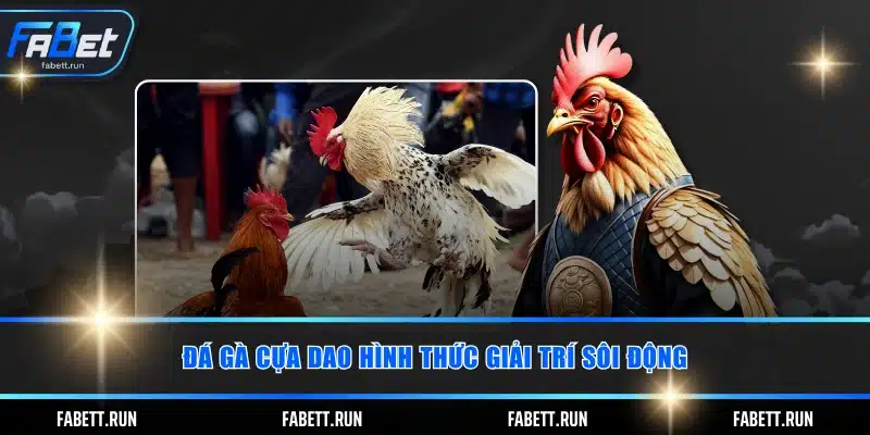 Đá gà cựa dao hình thức giải trí sôi động