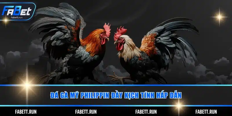 Đá gà mỹ Philippin đầy kịch tính hấp dẫn