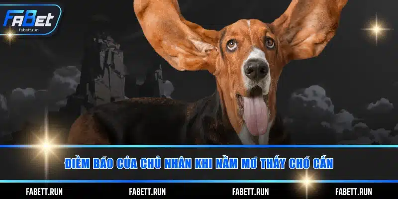 Điềm báo của chủ nhân khi nằm mơ thấy chó cắn