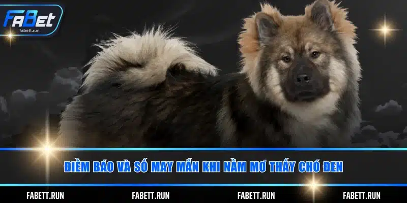 Điềm báo và số may mắn khi nằm mơ thấy chó đen