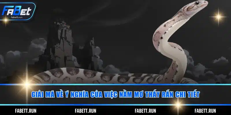 Giải mã về ý nghĩa của việc nằm mơ thấy rắn chi tiết