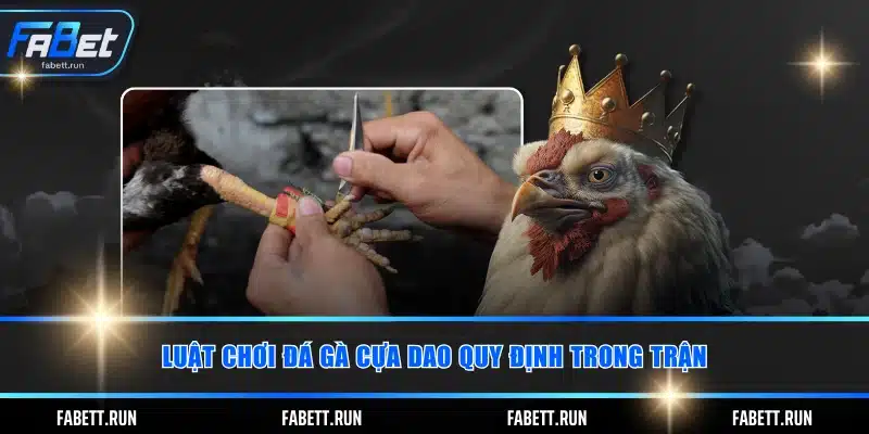 Luật chơi đá gà cựa dao quy định trong trận