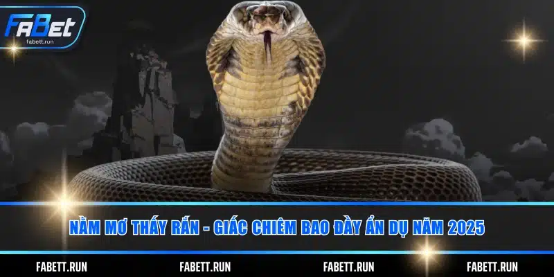 Nằm mơ thấy rắn