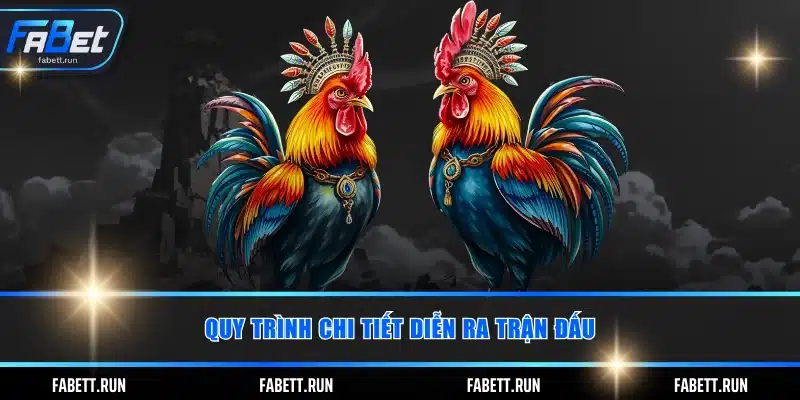 Quy trình chi tiết diễn ra trận đấu