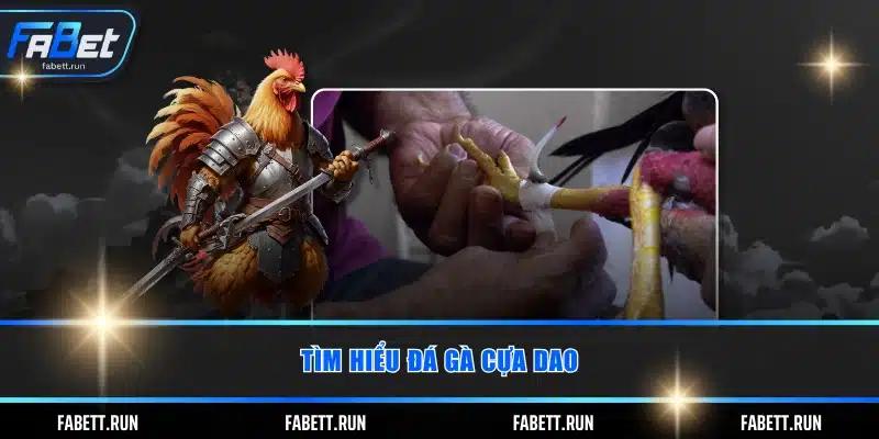 Tìm hiểu đá gà cựa dao