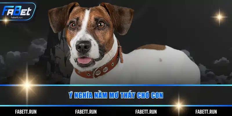 Ý nghĩa nằm mơ thấy chó con